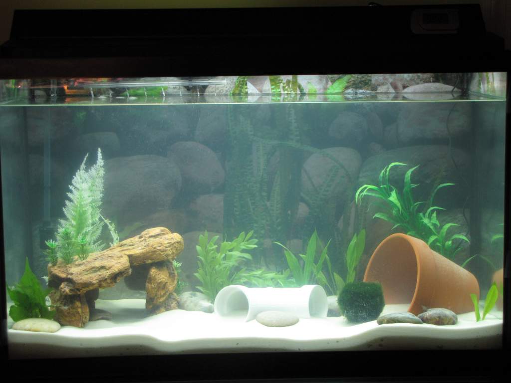 WIP tank, still working on getting it just right