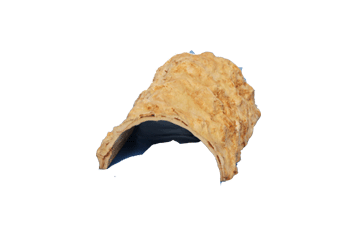 Wooden Hides
It can keep in the reptile home to hide for them..It made by rubber trees.
These have three sizes.First one is 15cm,seconed one is 20cm,t