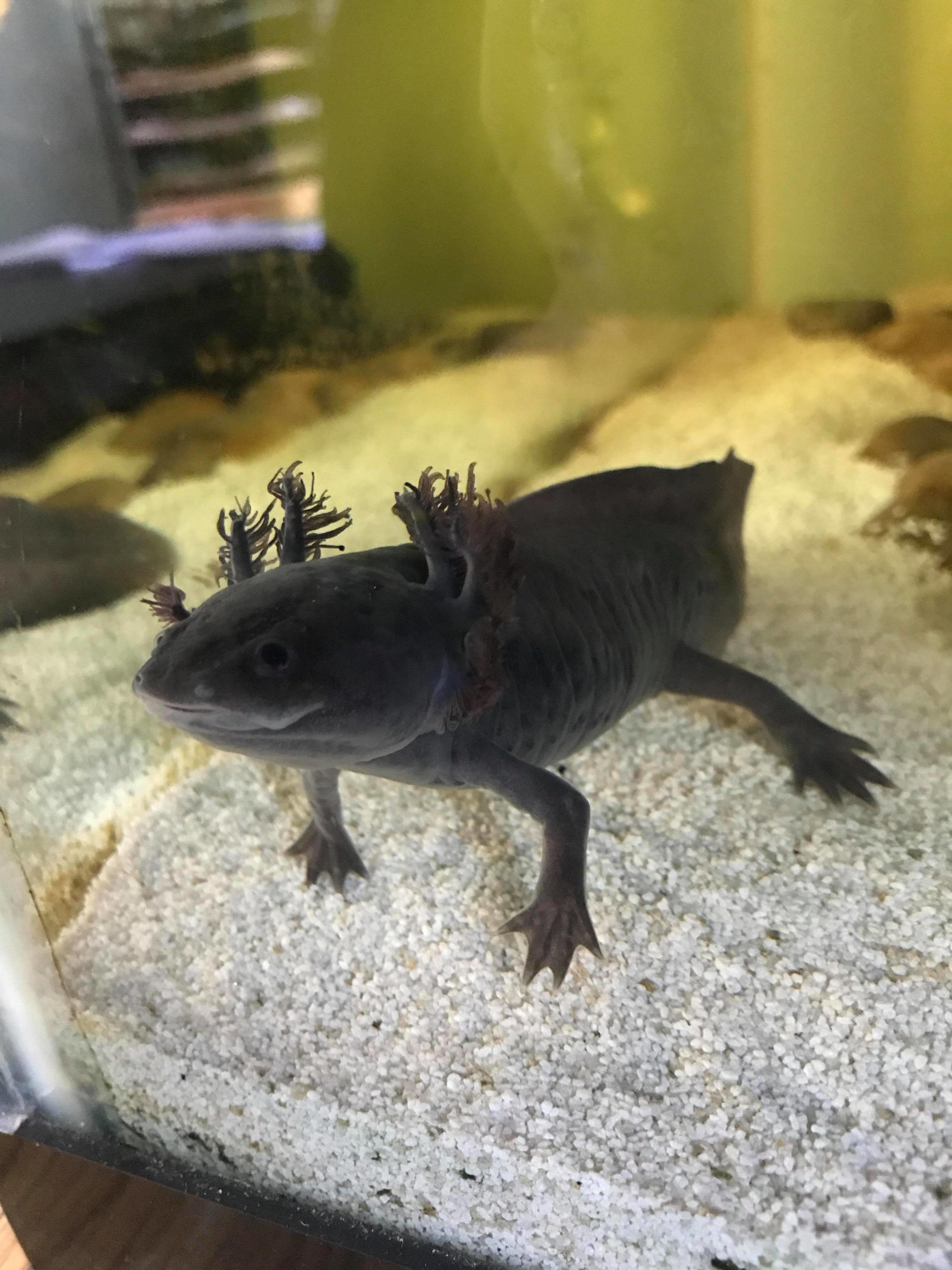 Worms, please.