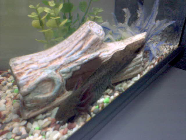 Yes we know your getting bigger :)