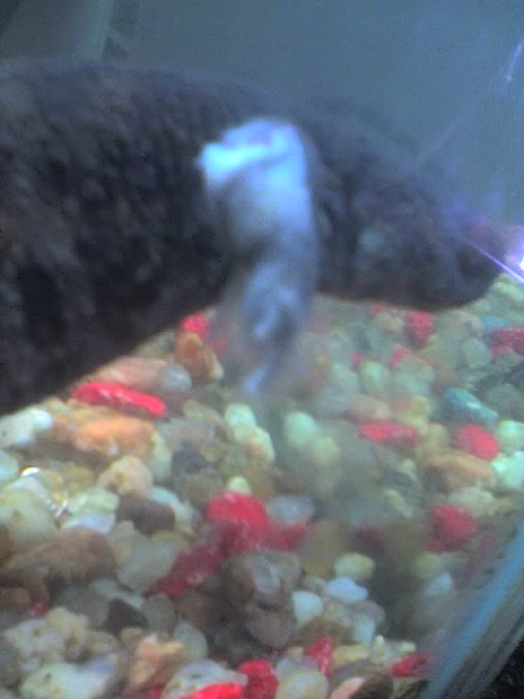 You can see a sort of "ghostly glove" there