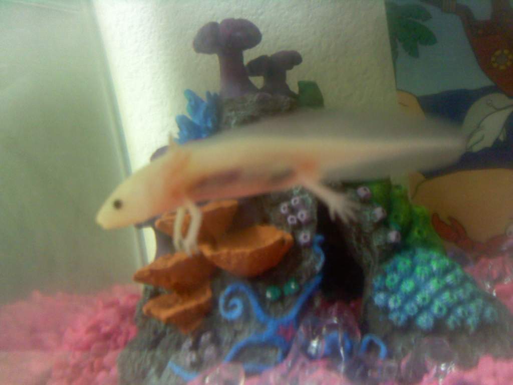 You can see it's insides =]
