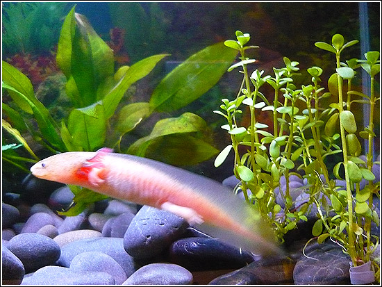 Zoooom!