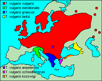 dist.n map